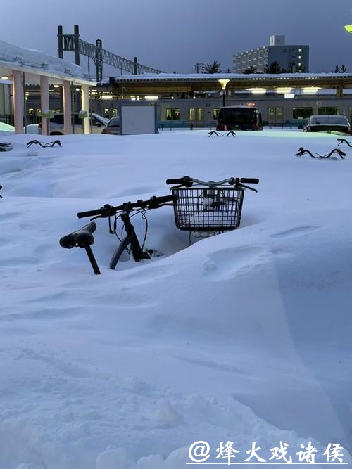 PJM：根据气温情况，PJM可能在1月27日创下新的冬季历史最高负荷纪录。